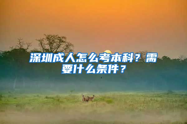 深圳成人怎么考本科？需要什么條件？