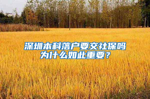 深圳本科落戶要交社保嗎為什么如此重要？