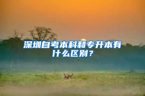 深圳自考本科和專升本有什么區(qū)別？