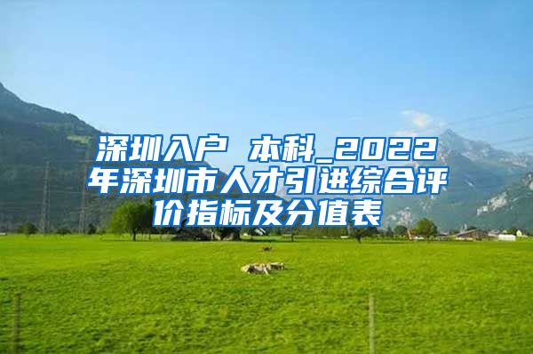 深圳入戶 本科_2022年深圳市人才引進綜合評價指標及分值表