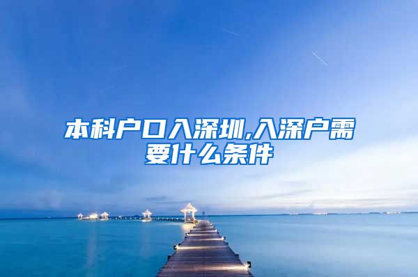 本科戶口入深圳,入深戶需要什么條件