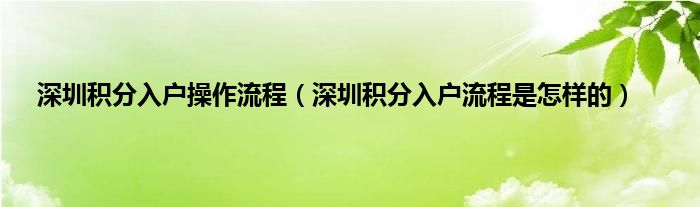 深圳積分入戶操作流程（深圳積分入戶流程是怎樣的）