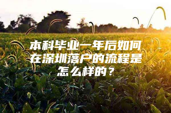 本科畢業(yè)一年后如何在深圳落戶的流程是怎么樣的？