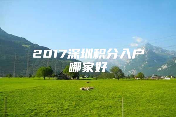 2017深圳積分入戶哪家好