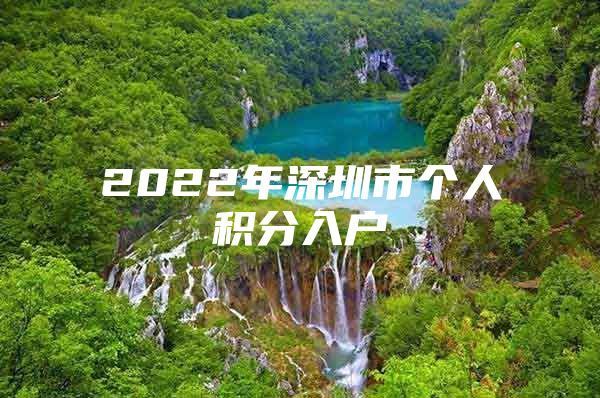 2022年深圳市個(gè)人積分入戶(hù)