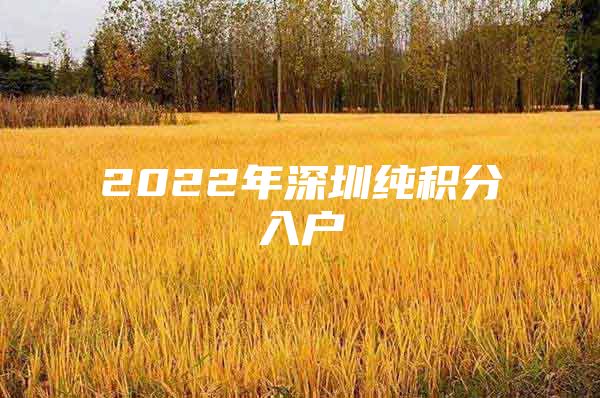 2022年深圳純積分入戶