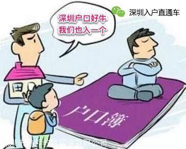 2020深圳怎么查積分入戶不是你不夠努力