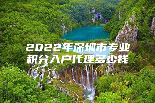 2022年深圳市專業(yè)積分入戶代理多少錢