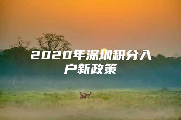 2020年深圳積分入戶新政策