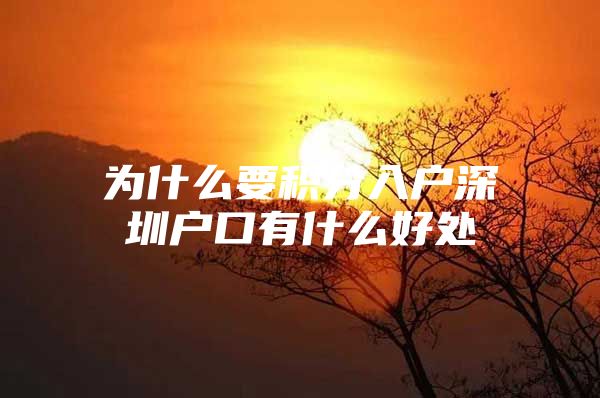 為什么要積分入戶深圳戶口有什么好處