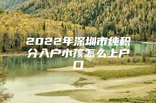 2022年深圳市純積分入戶小孩怎么上戶口