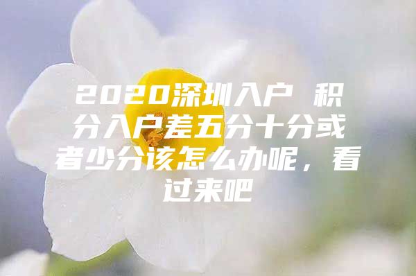 2020深圳入戶 積分入戶差五分十分或者少分該怎么辦呢，看過(guò)來(lái)吧