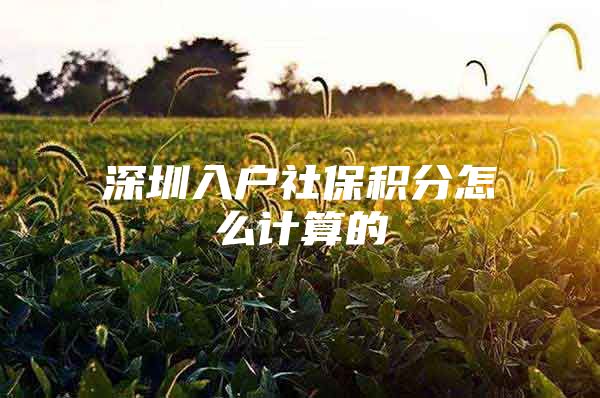 深圳入戶社保積分怎么計算的