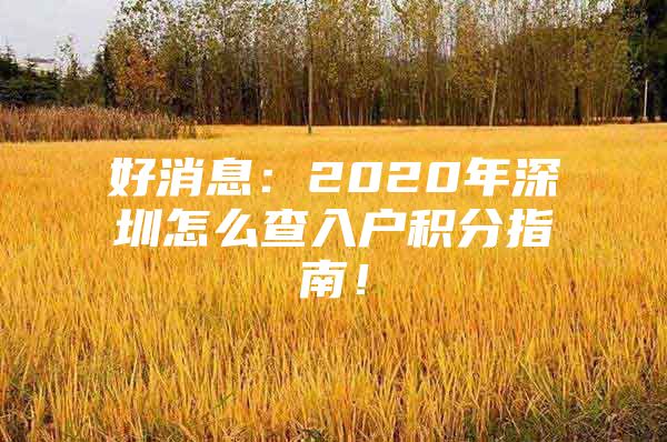 好消息：2020年深圳怎么查入戶積分指南！