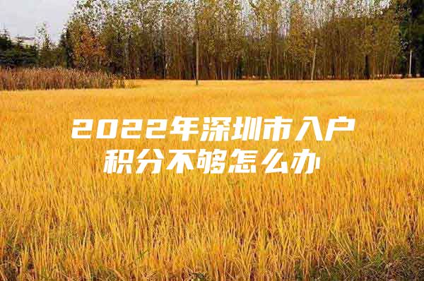 2022年深圳市入戶積分不夠怎么辦