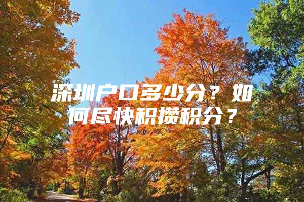 深圳戶口多少分？如何盡快積攢積分？