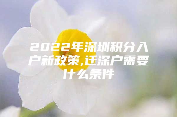 2022年深圳積分入戶新政策,遷深戶需要什么條件