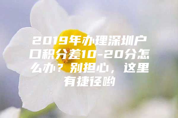 2019年辦理深圳戶口積分差10-20分怎么辦？別擔(dān)心，這里有捷徑喲