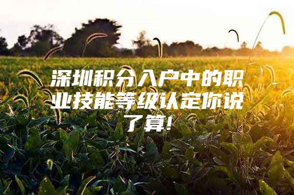 深圳積分入戶中的職業(yè)技能等級認定你說了算!