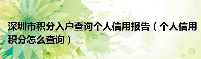 深圳市積分入戶查詢個人信用報告（個人信用積分怎么查詢）