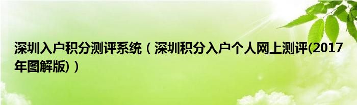 深圳入戶積分測(cè)評(píng)系統(tǒng)（深圳積分入戶個(gè)人網(wǎng)上測(cè)評(píng)(2017年圖解版)）