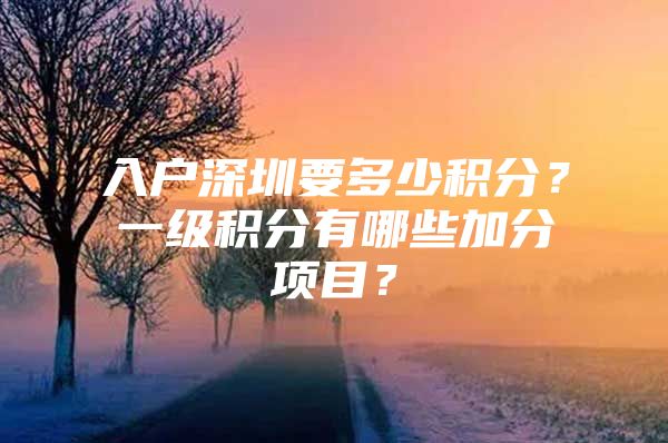 入戶深圳要多少積分？一級積分有哪些加分項(xiàng)目？